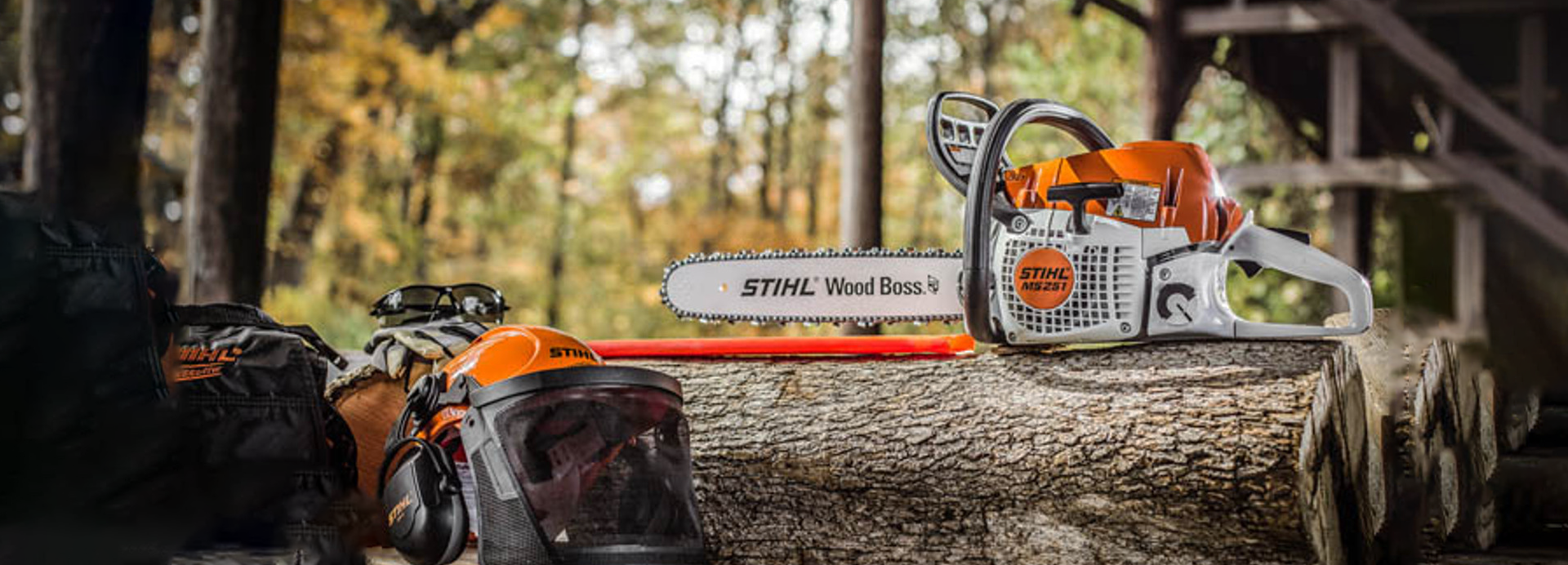 Pilarka Spalinowa STIHL MS 251 2