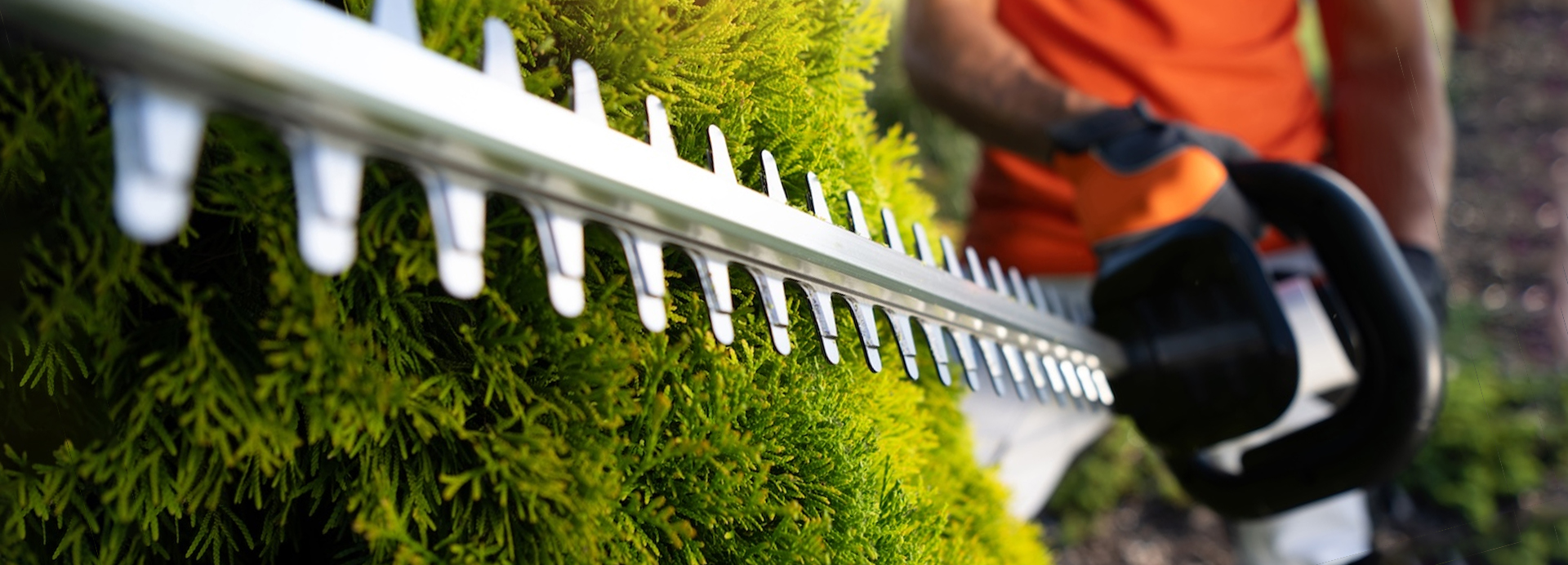 Nożyce elektryczne HSE 71` hse_71