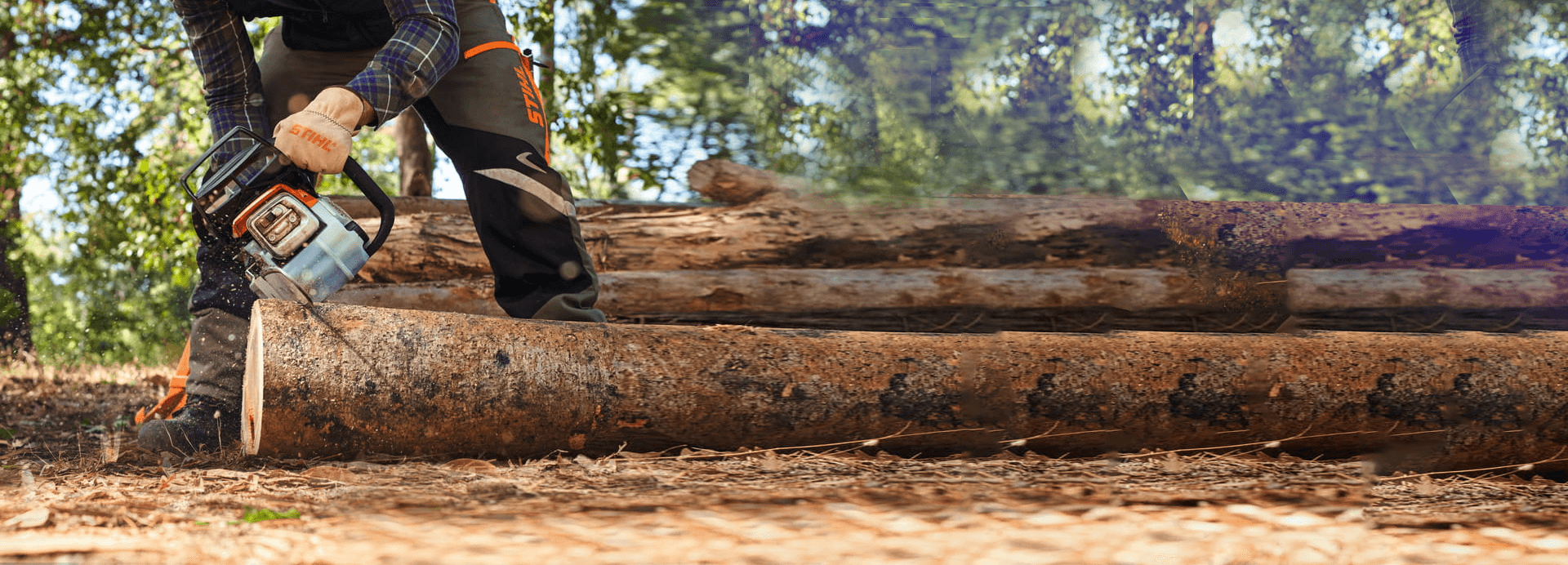 Pilarka Elektryczna STIHL MSE 141 C 2