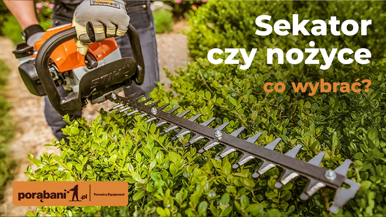 Sekator czy nożyce – co wybrać?