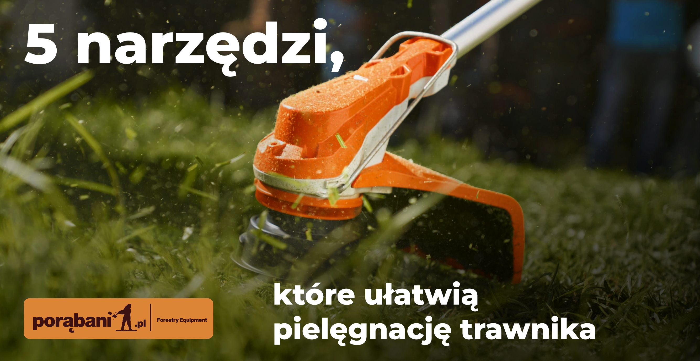 5 narzędzi, które ułatwią pielęgnację trawnika