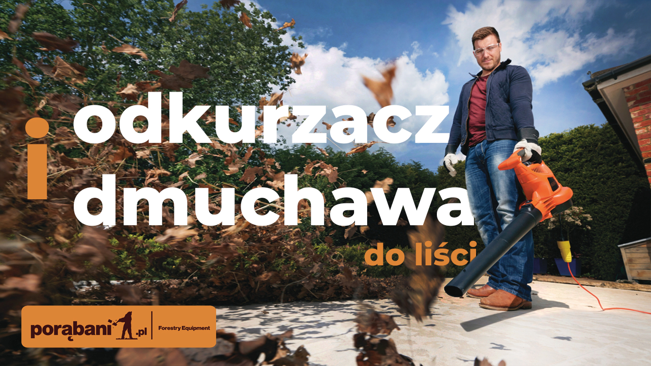 Odkurzacz i dmuchawa do liści – dlaczego warto je mieć w ogrodzie?