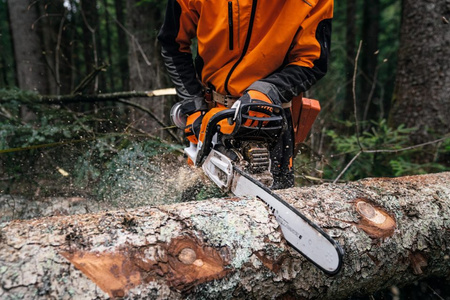 Pilarka Spalinowa STIHL MS 400 C-M